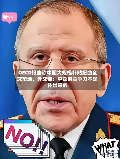 OECD报告称中国大规模补贴扭曲全球市场，外交部：中企的竞争力不是补出来的-第3张图片