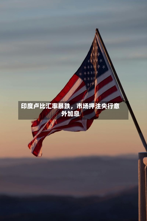 印度卢比汇率暴跌，市场押注央行意外加息-第2张图片