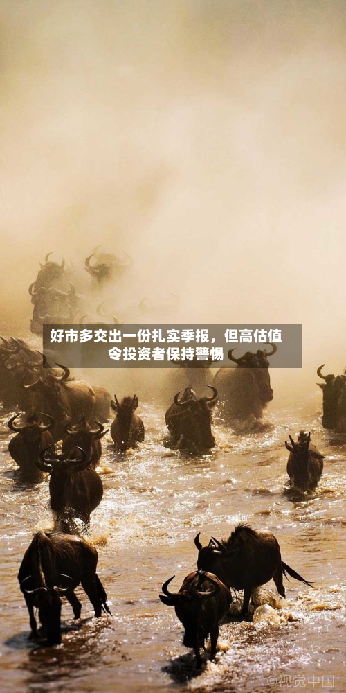 好市多交出一份扎实季报，但高估值令投资者保持警惕-第2张图片