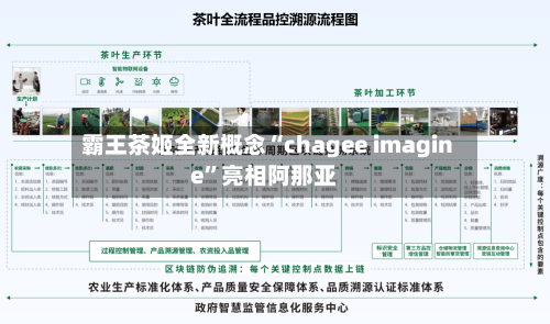 霸王茶姬全新概念“chagee imagine	”亮相阿那亚-第2张图片