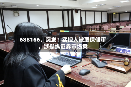 688166，突发！实控人被取保候审	，涉操纵证券市场案-第2张图片